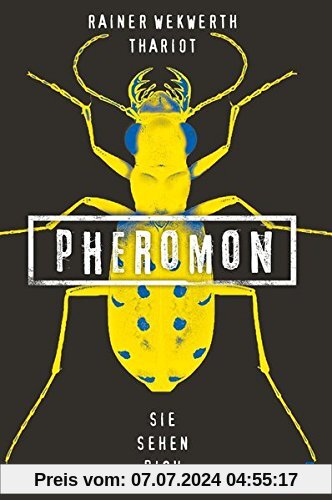 Pheromon 2: Sie sehen dich