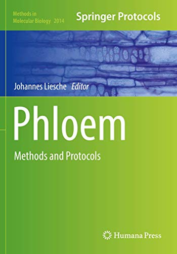 Phloem: Methods and Protocols (Methods in Molecular Biology, Band 2014) von Humana