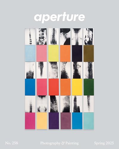 Photography & Painting: Aperture No. 258 (Aperture Magazine) von Aperture