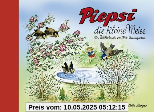 Piepsi die kleine Meise