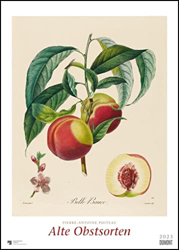 Pierre Antoine Poiteau: Alte Obstsorten 2023 – DUMONT Kunst-Kalender – Poster-Format 50 x 70 cm Pierre Antoine Poiteau: Alte Obstsorten 2023 – DUMONT Kunst-Kalender – Poster-Format 50 x 70 cm