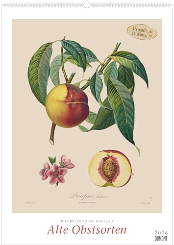 Pierre Antoine Poiteau: Alte Obstsorten 2026 – DUMONT Kunst-Kalender – Poster-Format 50 x 70 cm Pierre Antoine Poiteau: Alte Obstsorten 2026 – DUMONT Kunst-Kalender – Poster-Format 50 x 70 cm von DUMONT