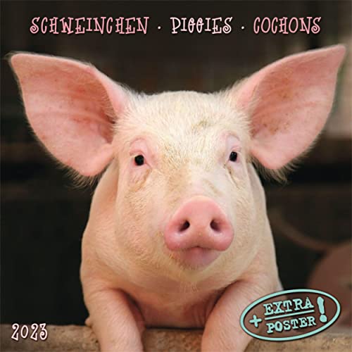 Piggies/Schweinchen 2023: Kalender 2023 (Artwork Edition)