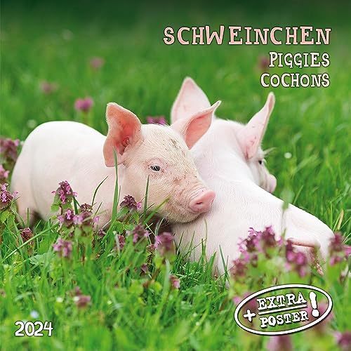 Piggies/Schweinchen 2024: Kalender 2024 (Artwork Edition)