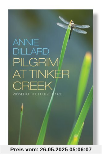 Pilgrim at Tinker Creek