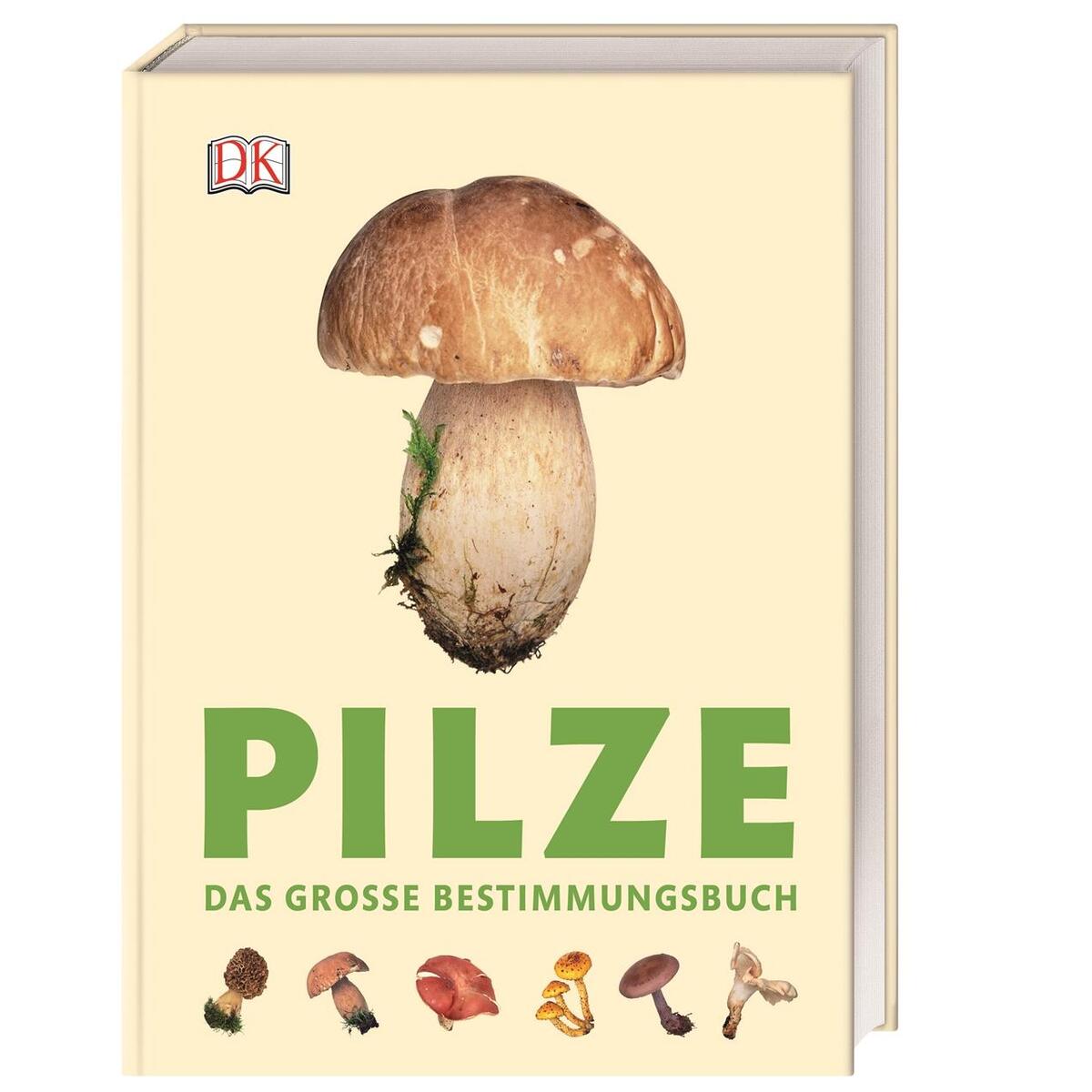 Pilze Pilze von Dorling Kindersley Verlag
