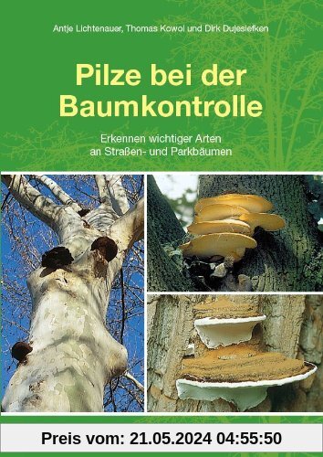 Pilze bei der Baumkontrolle: Erkennen wichtiger Arten an Straßen- und Parkbäumen