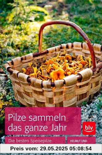 Pilze sammeln das ganze Jahr: Die besten Speisepilze Monat für Monat