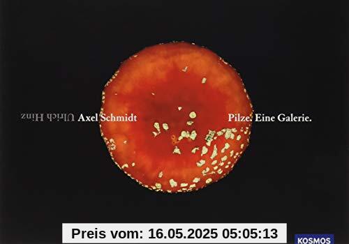 Pilze. Eine Galerie