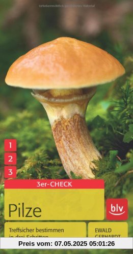 Pilze: Treffsicher bestimmen in drei Schritten