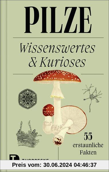 Pilze: Wissenswertes und Kurioses – 55 erstaunliche Fakten