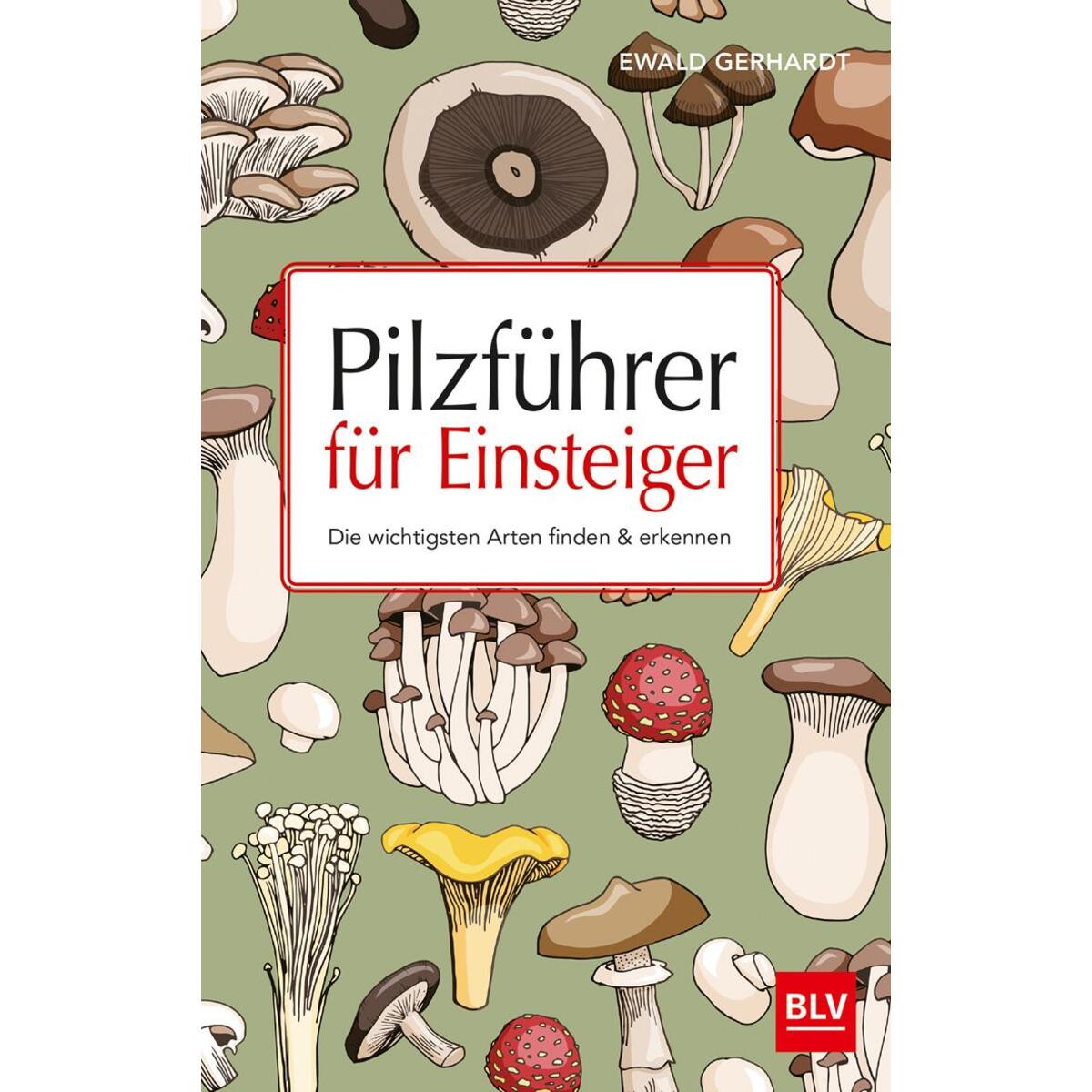 Pilzführer für Einsteiger von Blv