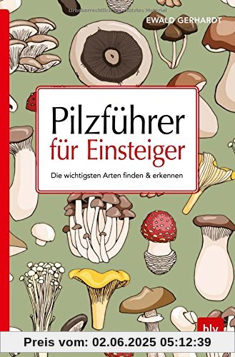 Pilzführer für Einsteiger: Die wichtigsten Arten finden & erkennen