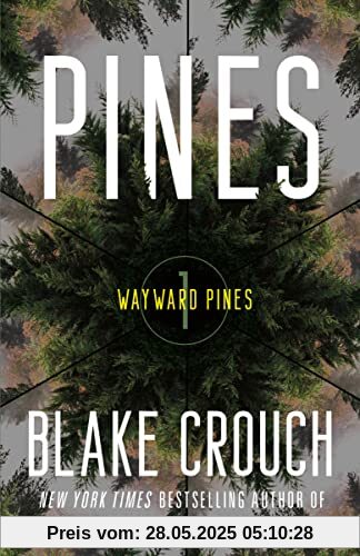 Pines: Wayward Pines: 1 (The Wayward Pines Trilogy, Band 1)