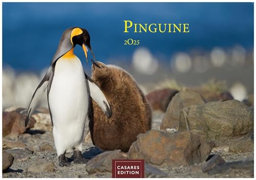 Pinguine 2025 S 24x35cm von CASARES EDITION