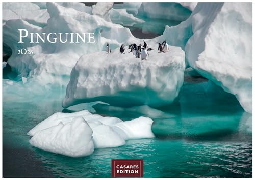 Pinguine 2026 S 24x35cm von CASARES EDITION