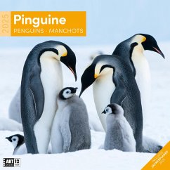 Pinguine Kalender 2025 - 30x30 von Ackermann Kunstverlag