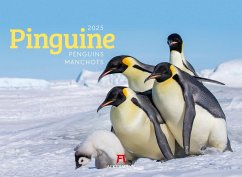 Pinguine Kalender 2025 von Ackermann Kunstverlag