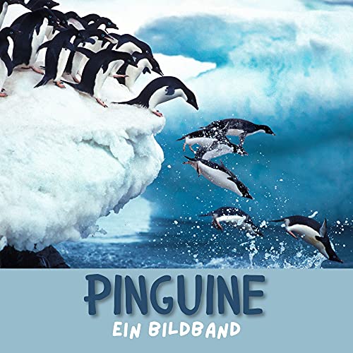 Pinguine: Ein Bildband von 27 Amigos