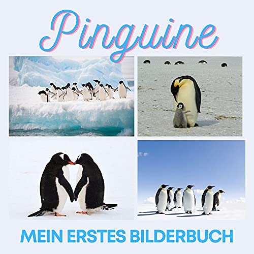Pinguine: Mein erstes Bilderbuch von 27 Amigos