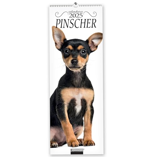 Pinscher. Calendario 2025. Long Pinscher. Calendario 2025. Long von Sprea Editori