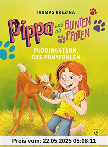 Pippa und die Bunten Pfoten - Puddingstern, das Ponyfohlen