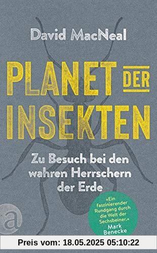 Planet der Insekten: Zu Besuch bei den wahren Herrschern der Erde