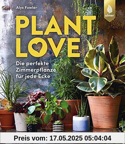 Plant Love: Die perfekte Zimmerpflanze für jede Ecke