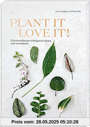 Plant it - love it!: Zimmerpflanzen erfolgreich teilen und vermehren