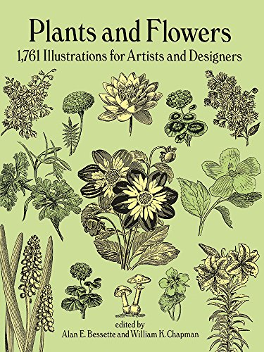 Plants and Flowers: 1761 Illustrations for Artists and Designers (Dover Pictorial Archives) (Dover Pictorial Archive Series) von Dover Publications
