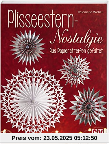 Plisseestern-Nostalgie: Aus Papierstreifen gefaltet