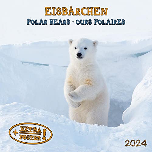 Polar Bears/Eisbärchen 2024: Kalender 2024 (Artwork Edition)