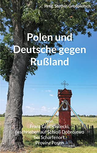 Polen und Deutsche gegen Rußland von Books on Demand