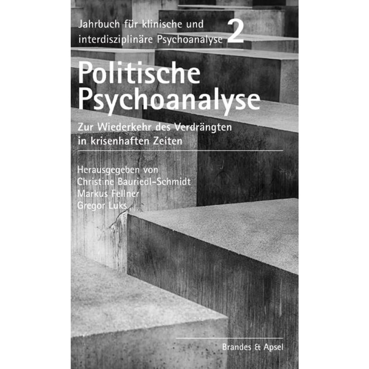 Politische Psychoanalyse Politische Psychoanalyse von Brandes + Apsel Verlag Gm