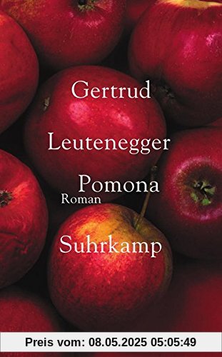 Pomona: Roman (suhrkamp taschenbuch)