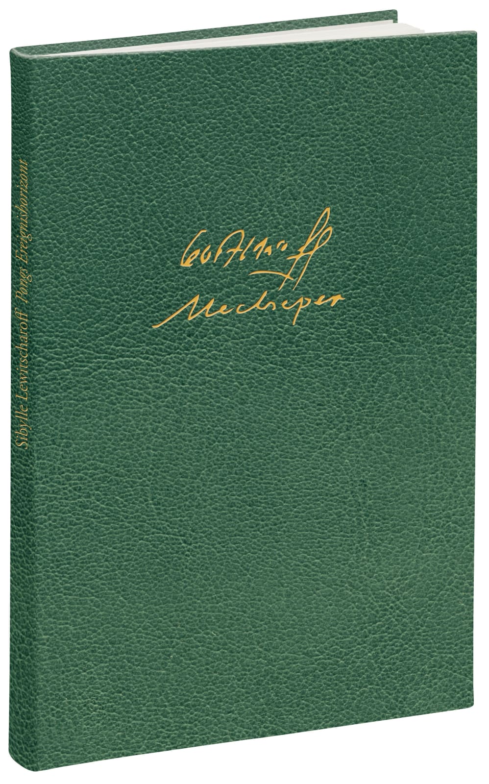 Pong am Ereignishorizont von Insel Verlag