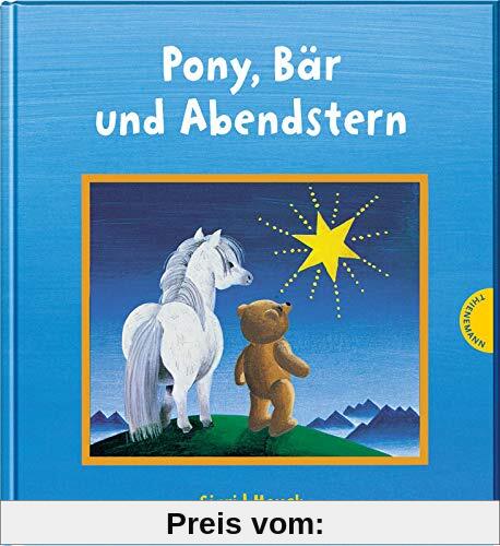 Pony, Bär und Abendstern: Lesen lernen mit Bildern, für Kinder ab 4 Jahren