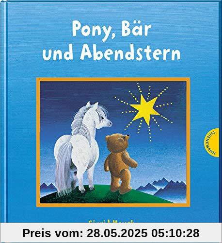 Pony, Bär und Abendstern: Lesen lernen mit Bildern, für Kinder ab 4 Jahren