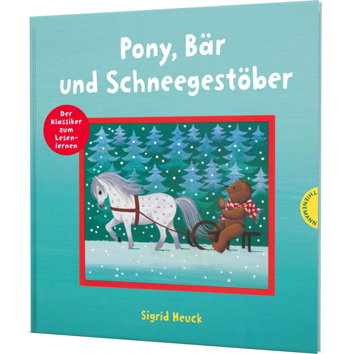 Pony, Bär und Schneegestöber von Thienemann