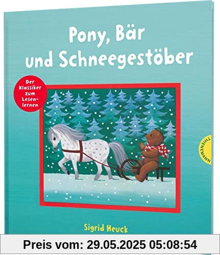 Pony, Bär und Schneegestöber: Mit Bildern lesen lernen
