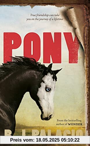 Pony: from the bestselling author of Wonder