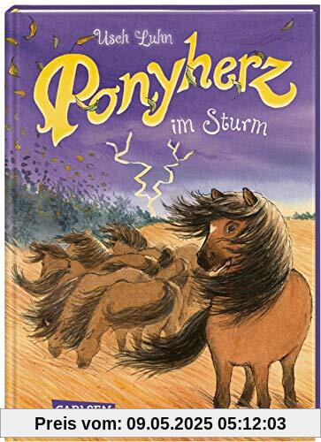 Ponyherz 14: Ponyherz im Sturm (14)