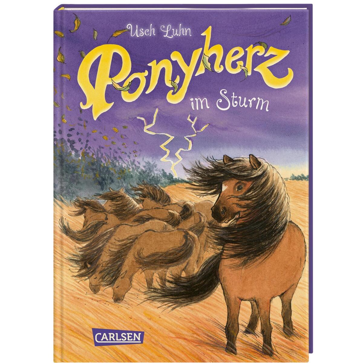 Ponyherz 14: Ponyherz im Sturm von Carlsen Verlag GmbH