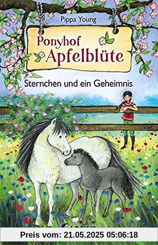 Ponyhof Apfelblüte - Sternchen und ein Geheimnis: Band 7 (Ponyhof Apfelblüte)