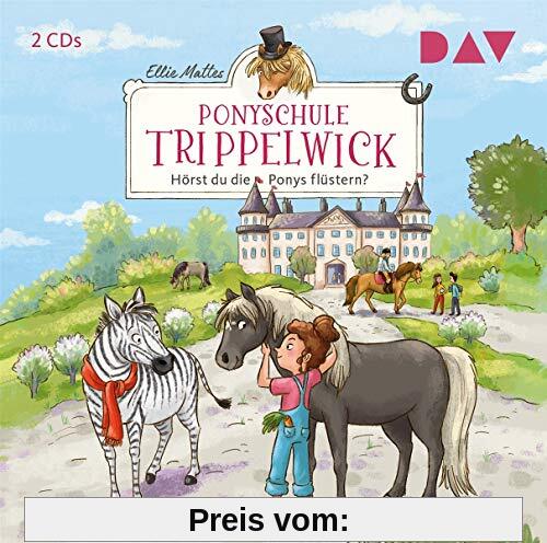 Ponyschule Trippelwick – Teil 1: Hörst du die Ponys flüstern?: Lesung mit Musik mit Gabrielle Pietermann (2 CDs)