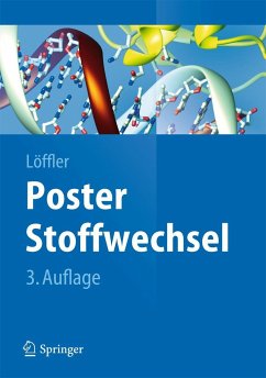 Poster Stoffwechsel von Springer / Springer Berlin Heidelberg / Springer, Berlin