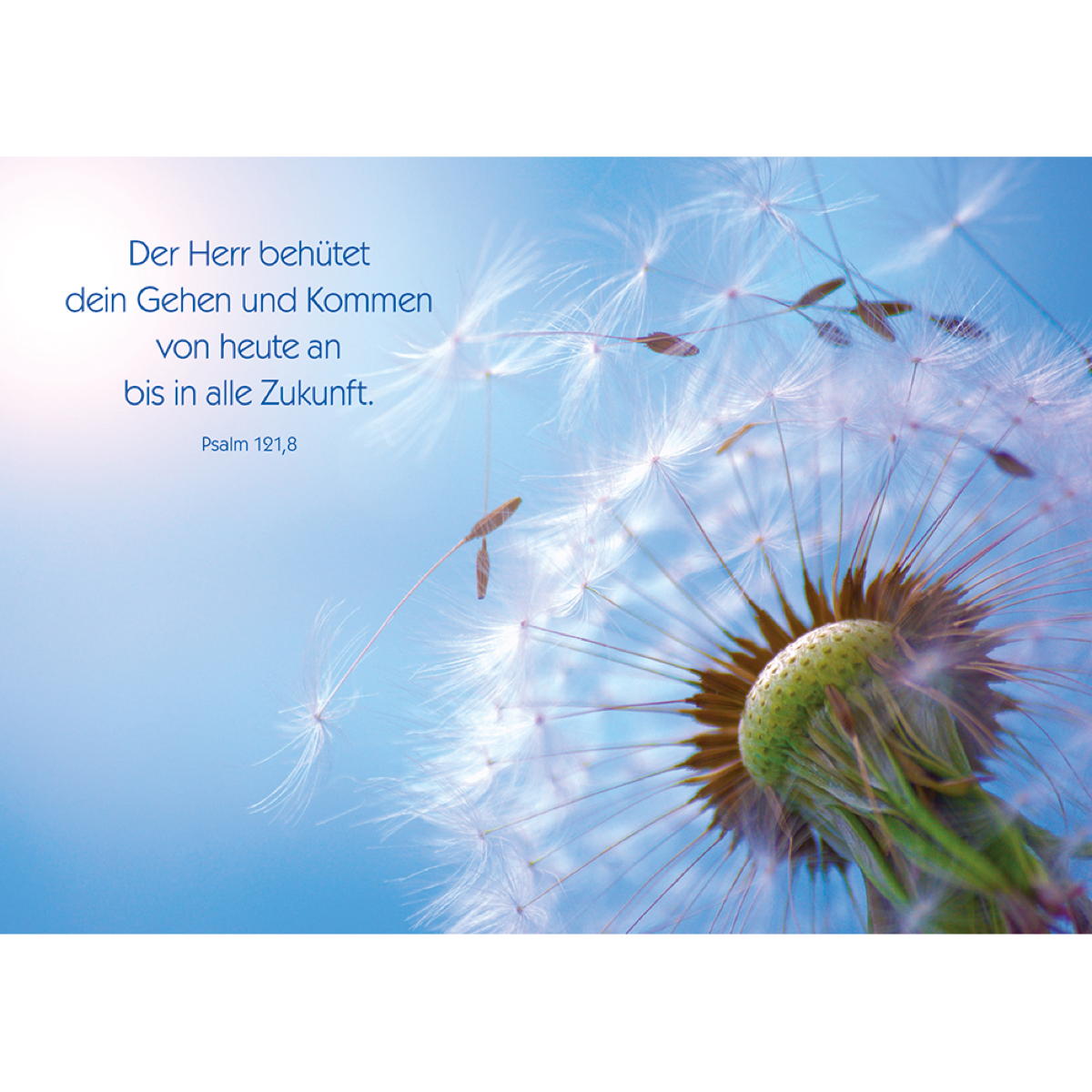 Postkarte - Der Herr behütet dein Gehen und Kommen... (10 Stück) von Butzon und Bercker