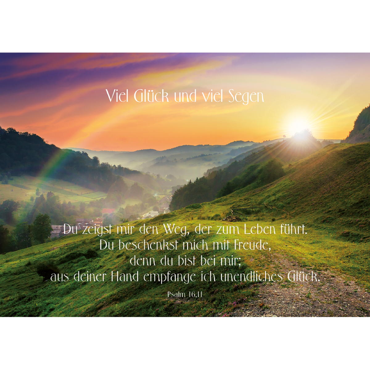 Postkarte zum Geburtstag - Viel Glück und viel Segen (10 Stück) von Butzon und Bercker