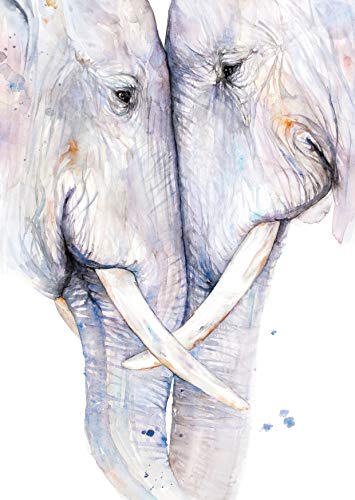 Postkarten Elefanten: VE 10
