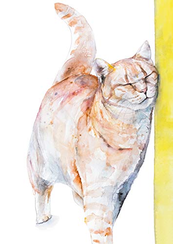 Postkarten Katze: VE 10 Postkarten Katze: VE 10